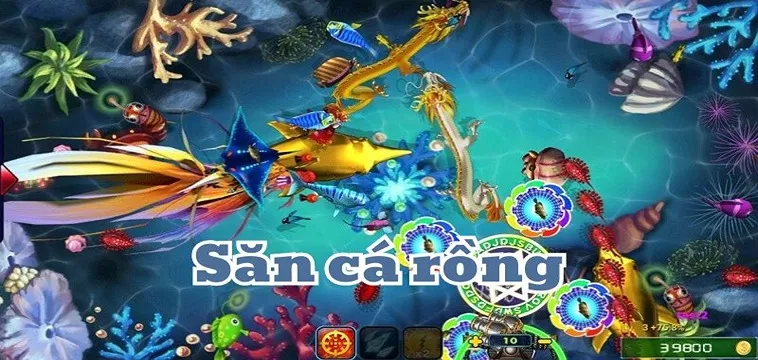 Cách Chơi Bắn Cá Rồng Tại Win79 Hiệu Quả Cho Người Mới