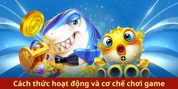 Cách Chơi Bắn Cá Royal Fishing Tại Win79 Chi Tiết Dễ Hiểu Cho Người Mới