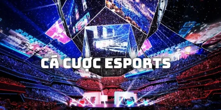 Cách Chơi Thể Thao Điện Tử Tại Win79 Hiệu Quả Và Cách Tối Ưu Trải Nghiệm Giải Trí