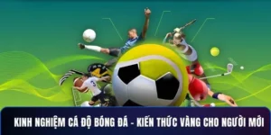 Tìm Hiểu Cá Cược Bóng Đá Win79 Với Trải Nghiệm Chơi Chuyên Nghiệp Và An Toàn